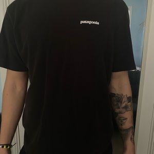 Patagonia tee